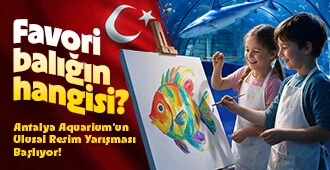 Resim Yarışması